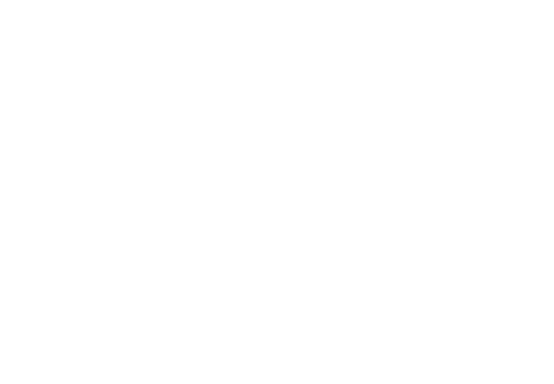 Stone Steel